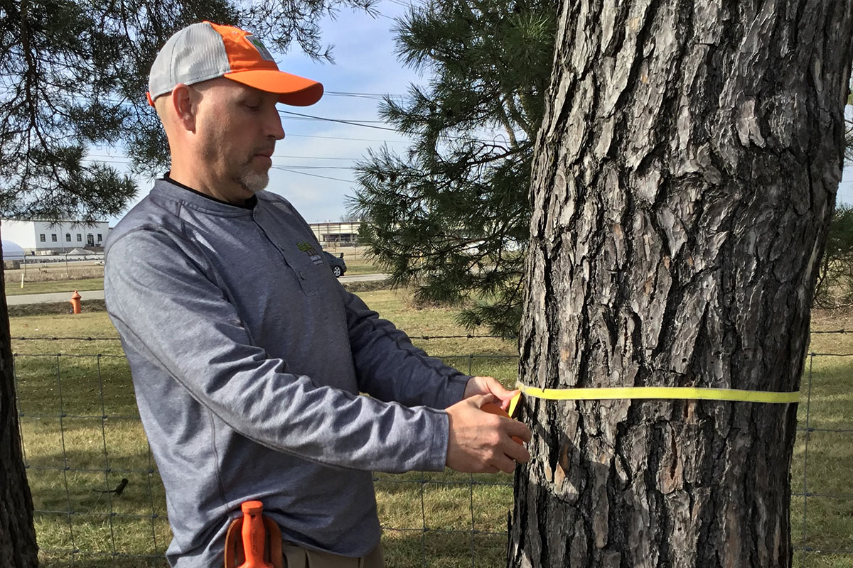 why-hire-a-certified-arborist-ahlum-arbor