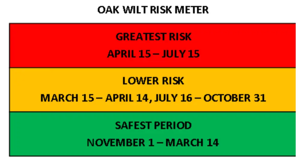 Risk meter showing best time to prune trees.