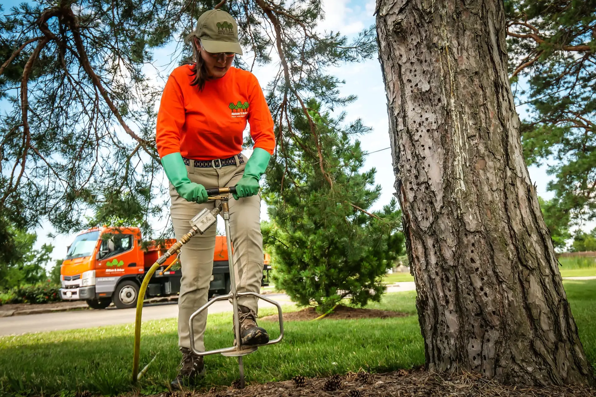 Plant Health Care Consultation & Evaluation by certified arborists located in Columbus/Central Ohio & Cincinnati/Northern Kentucky | Ahlum & Arbor Tree Preservation