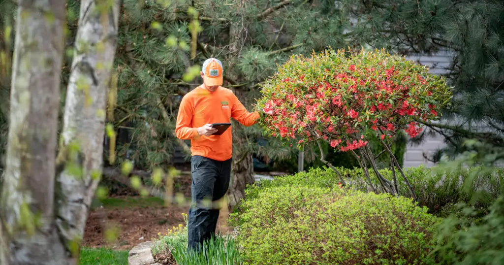 photo of certified arborist providing plant health inspection